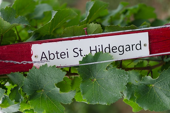 La plupart des recettes d’Hildegarde sont préparées à base de vin. Si son monastère était logé au milieu des vignobles allemands, c’est pour une autre raison que l’abbesse préférait l’utilisation du vin à celle de l’eau. A cette époque, l’eau des puits était polluée alors que le vin, moins alcoolisé était aussi mélangé avec des épices et des aromates.