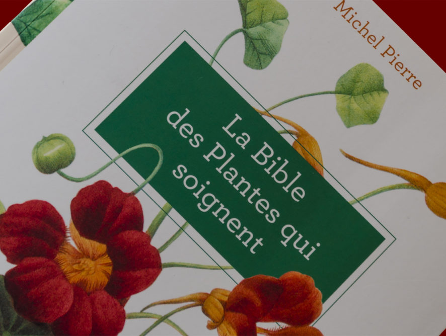 La bible des plantes qui soignent - Michel Pierre